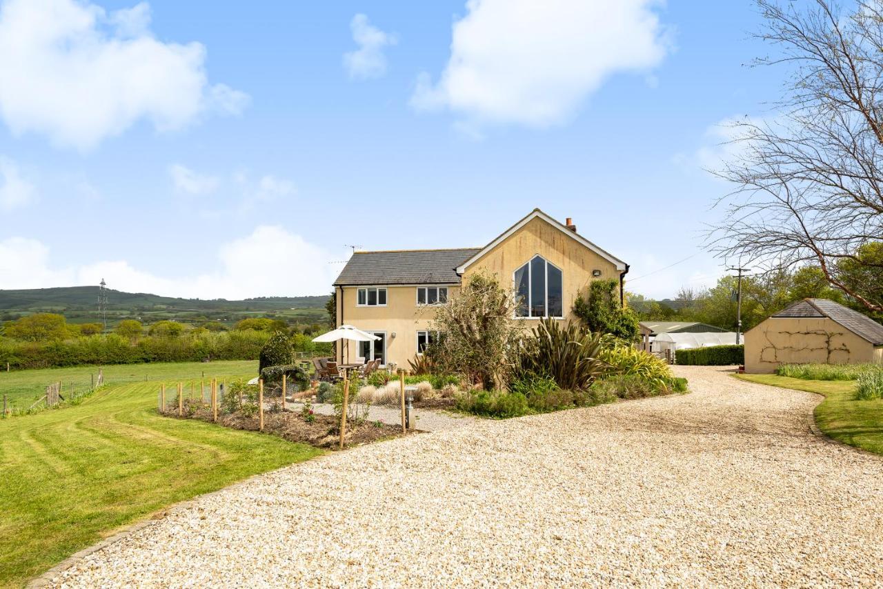 Copse Gate Farm Bed & Breakfast Bridport Ngoại thất bức ảnh