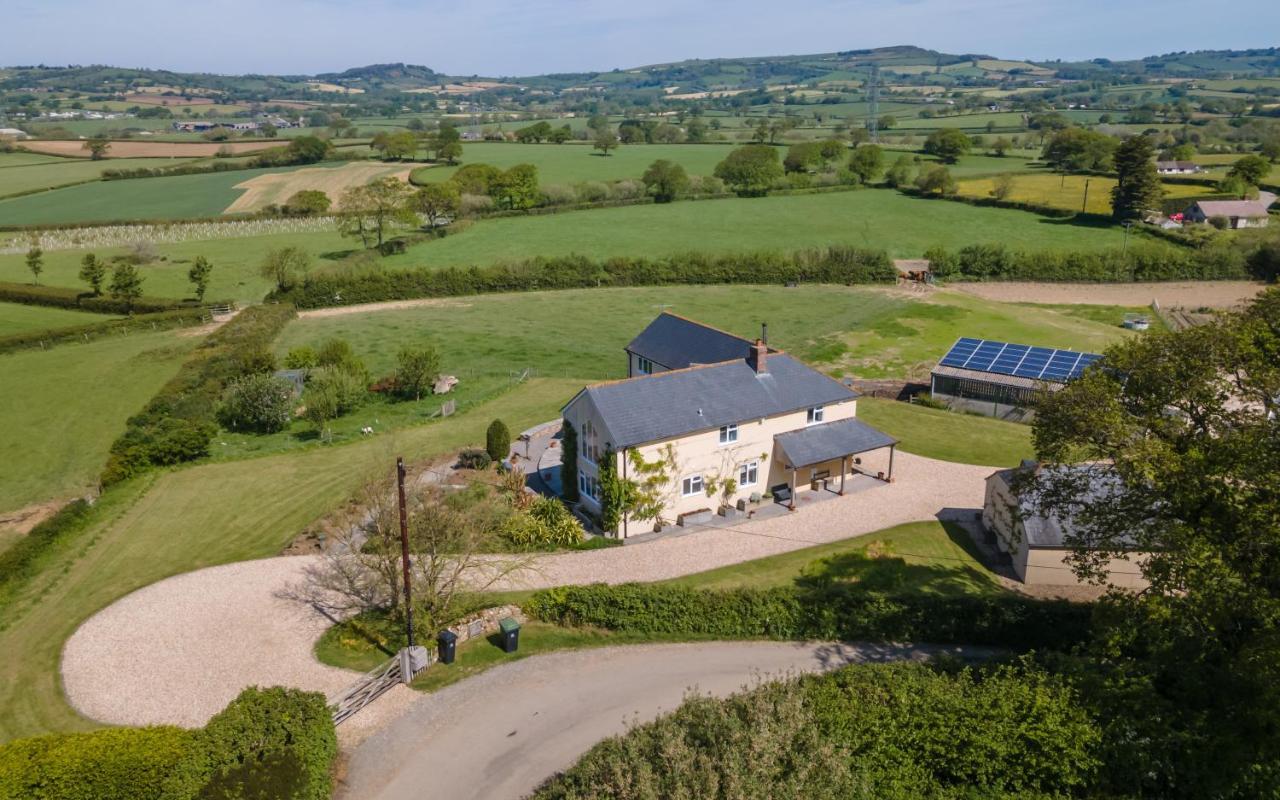 Copse Gate Farm Bed & Breakfast Bridport Ngoại thất bức ảnh